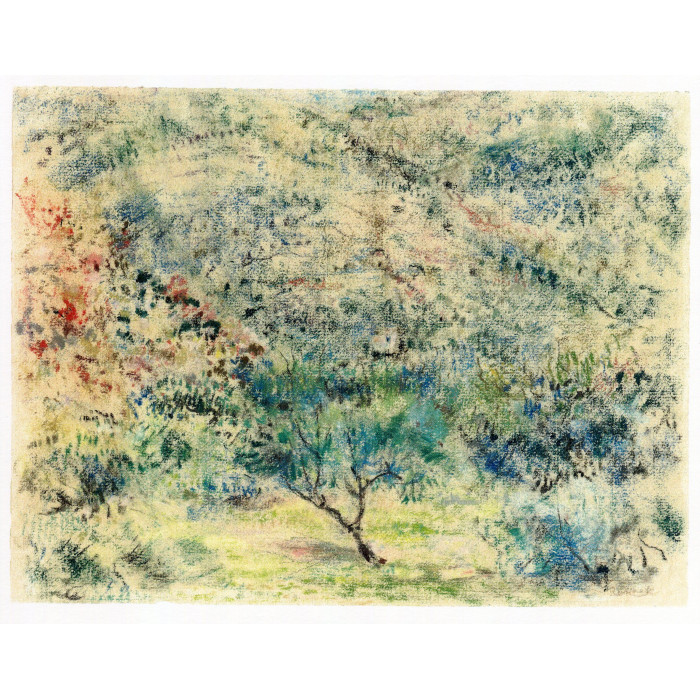 Provence (1932)