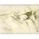 Femme sur le dos, Lassitude (Elles 1896), opus 181