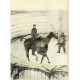 Cheval pointant (Le Cirque)