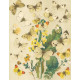 Bryophila, Dipthera, Agrotis, Panthea, Moma - Atlas motýlů střední Evropy, tab. 33
