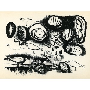 Coquillages et oiseaux (Shells and birds) (19.2.1946)
