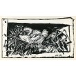 Pigeonneau dans son nid (Young pigeon in its nest) (11.3.1947)