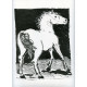 Le Cheval (1942) (Buffon)