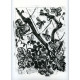 La Guepe (1942) (Buffon)