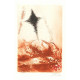 Ordo amoris VIII (Biblos)