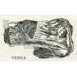 Vedra