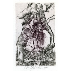 David VII (Bible)