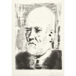 Portrait de Vollard II (Suite Vollard) (1937), opus B.231